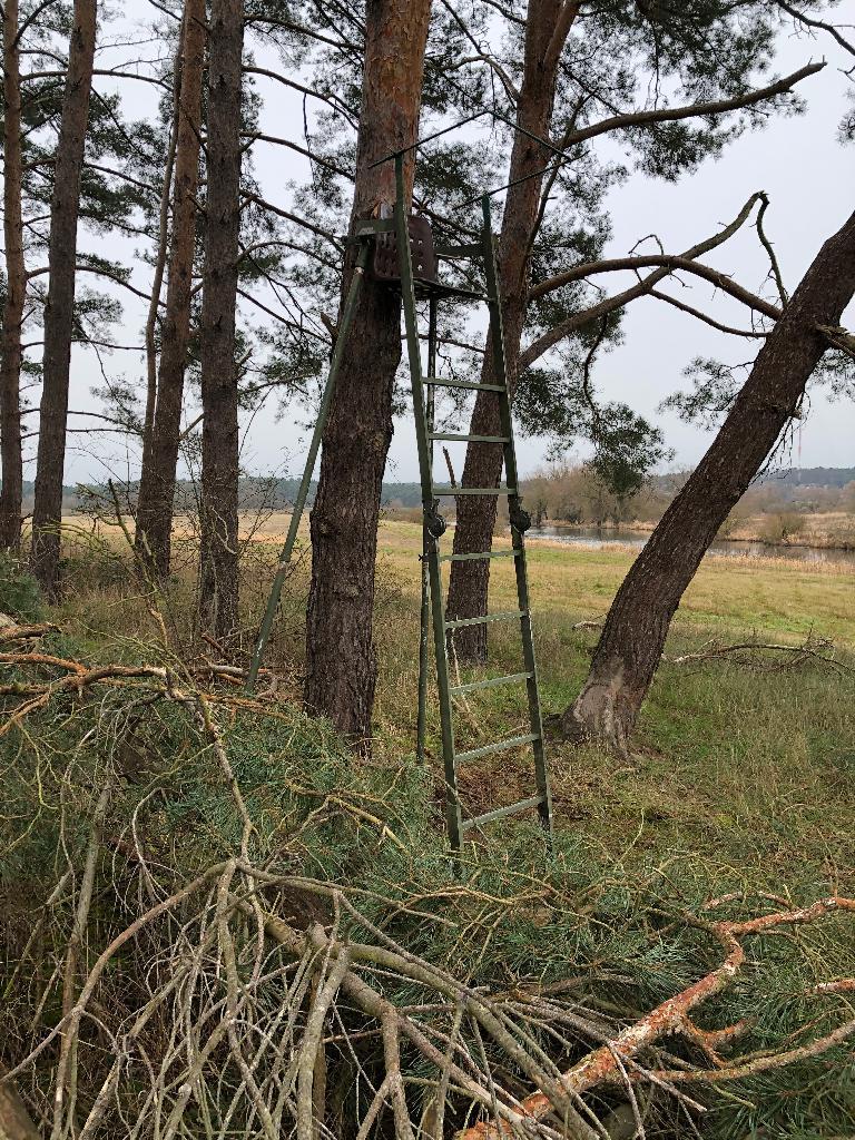 Hochsitz am Baum, Metall