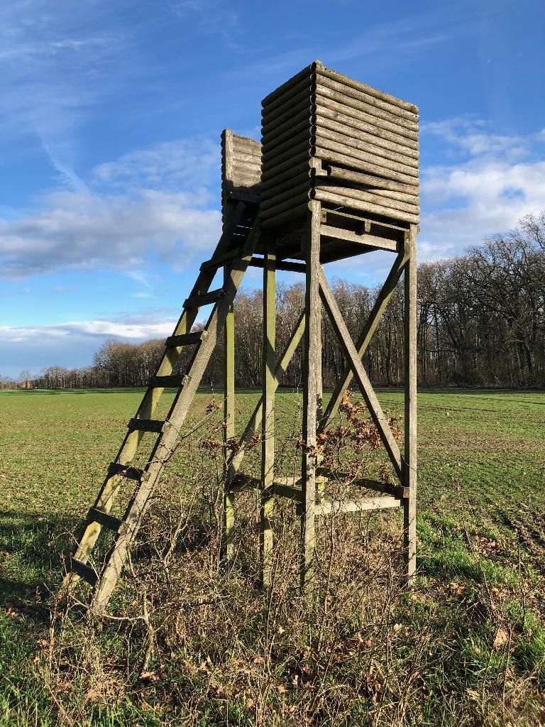 Hochstand ohne Dach