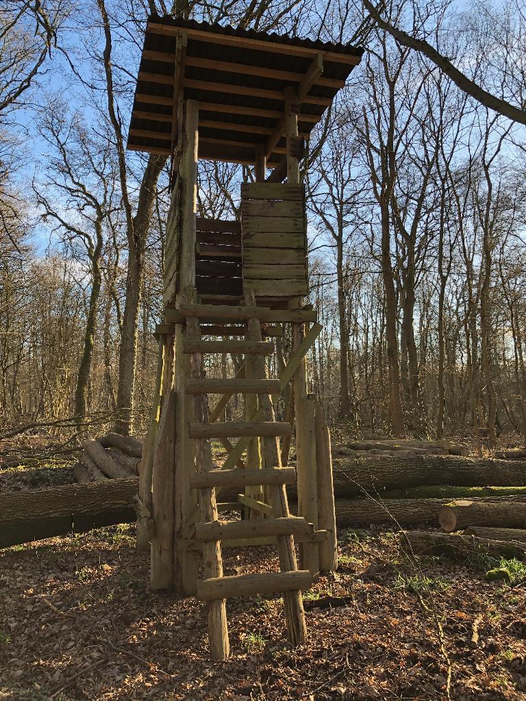 Hochstand mit ausgeprägtem Dach (nah)