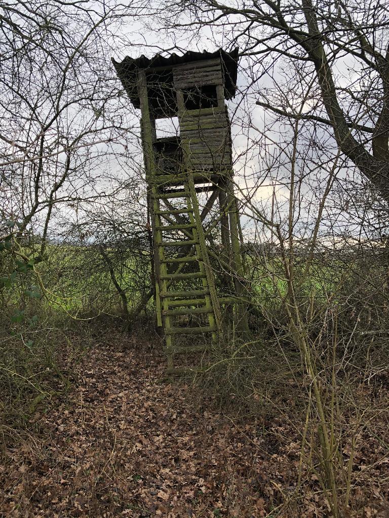 Hochstand, schräg