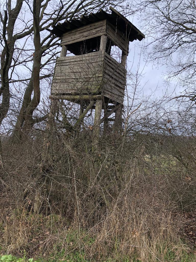 Hochstand, schräg