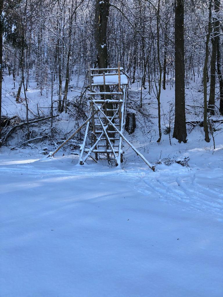 Hochstand im Schnee