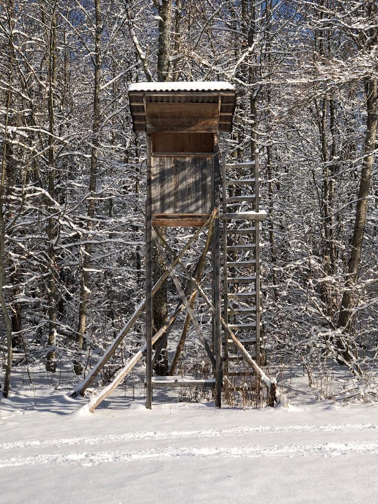 Hochstand im Schnee