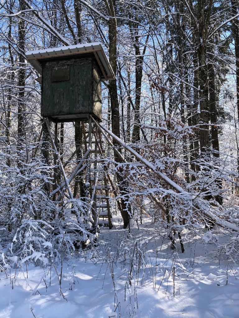 Hochstand im Schnee im Wald