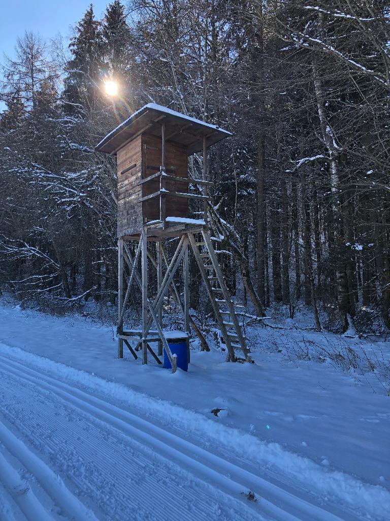 Hochstand im Schnee