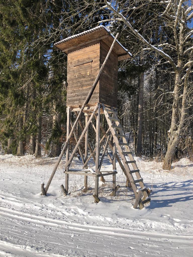 Hochstand im Schnee