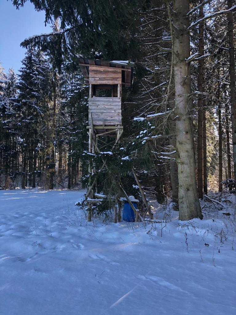 Hochstand im Schnee