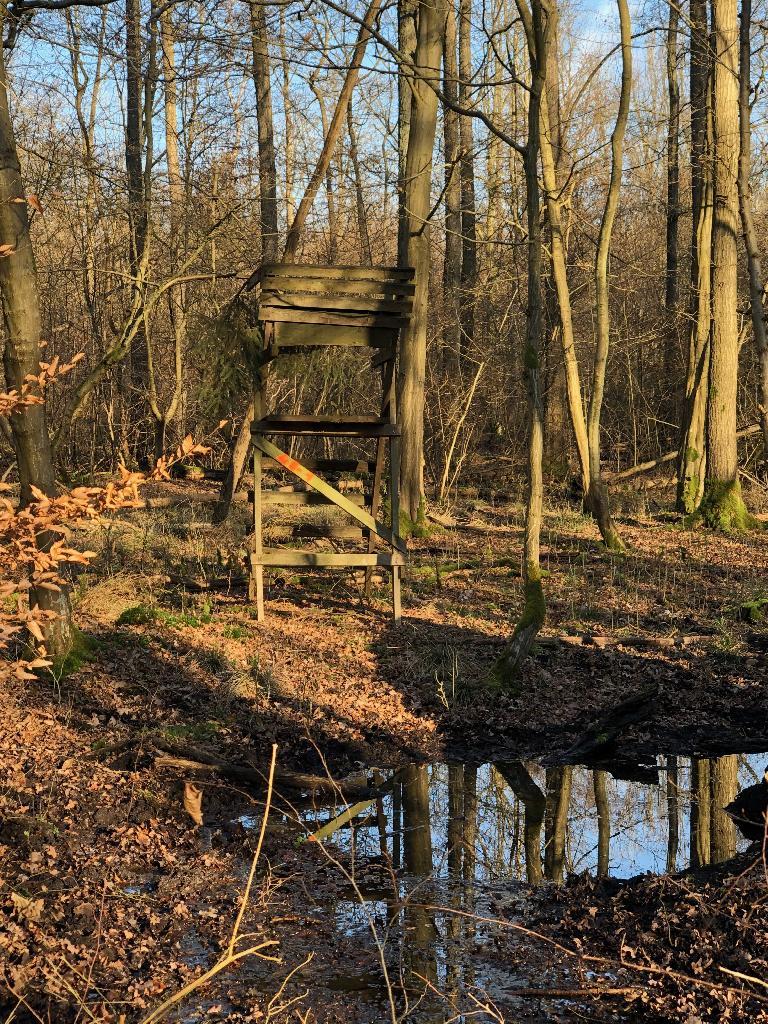 Hochsitz an einer Wasserpfütze