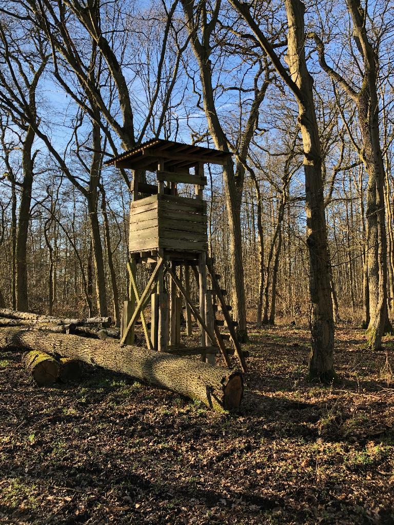 Hochstand mit ausgeprägtem Dach (seitlich)