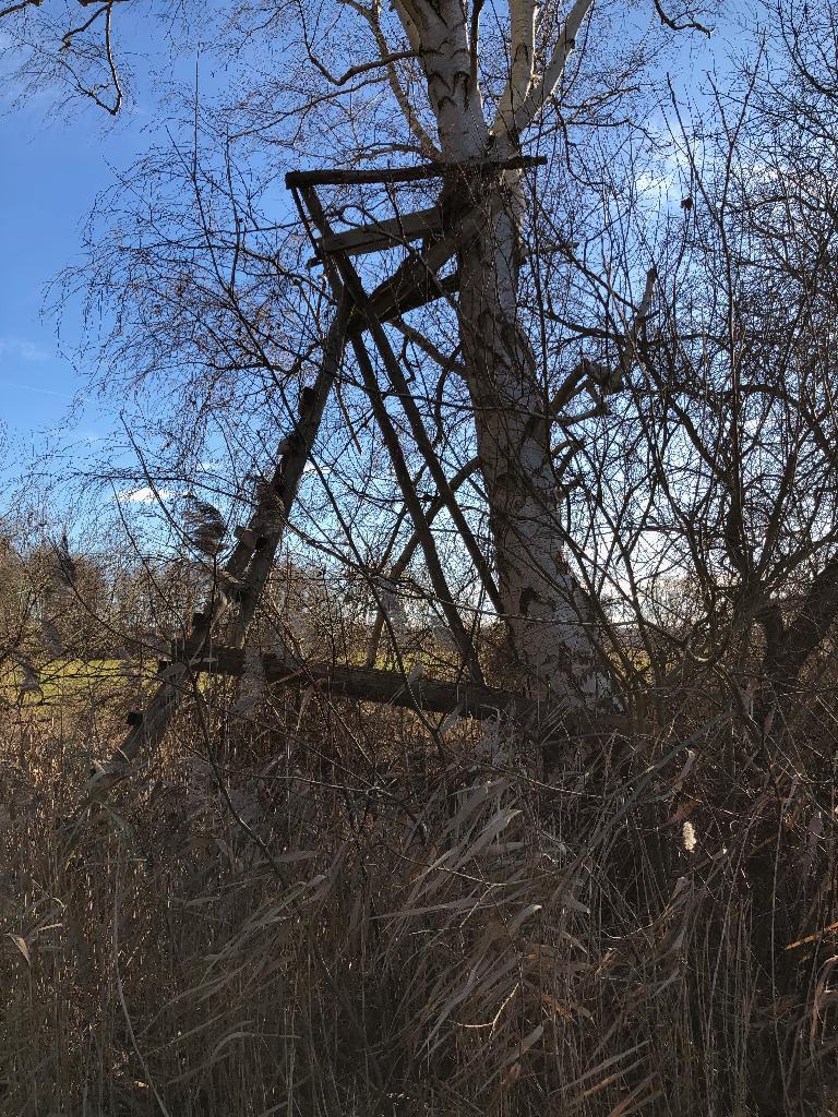 Hochstand am Baum instabil (seitlich)