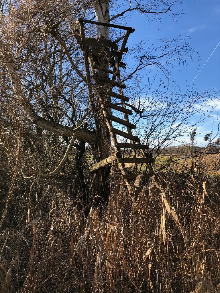 Hochstand am Baum instabil (nah)