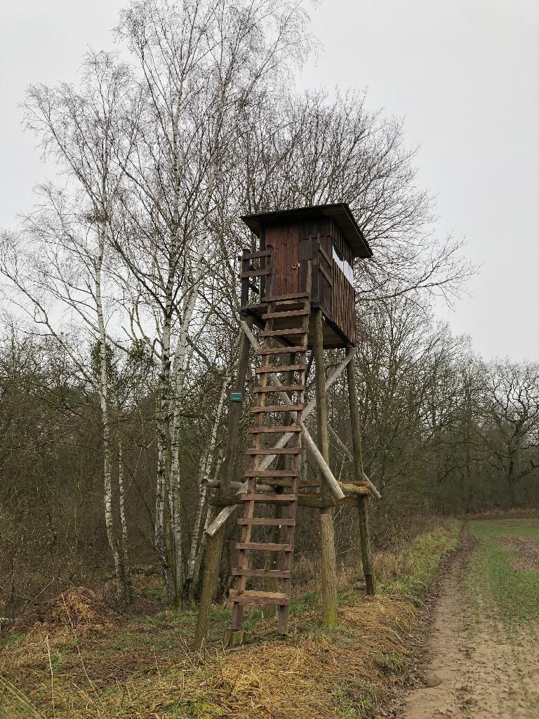 Hochstand geschlossen sehr hoch