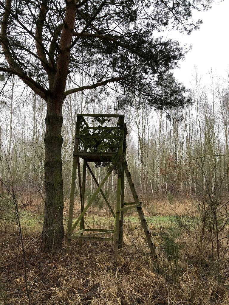 Hochsitz getarnt am Baum