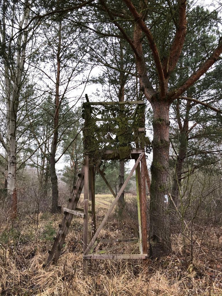 Hochsitz getarnt am Baum (seitlich)