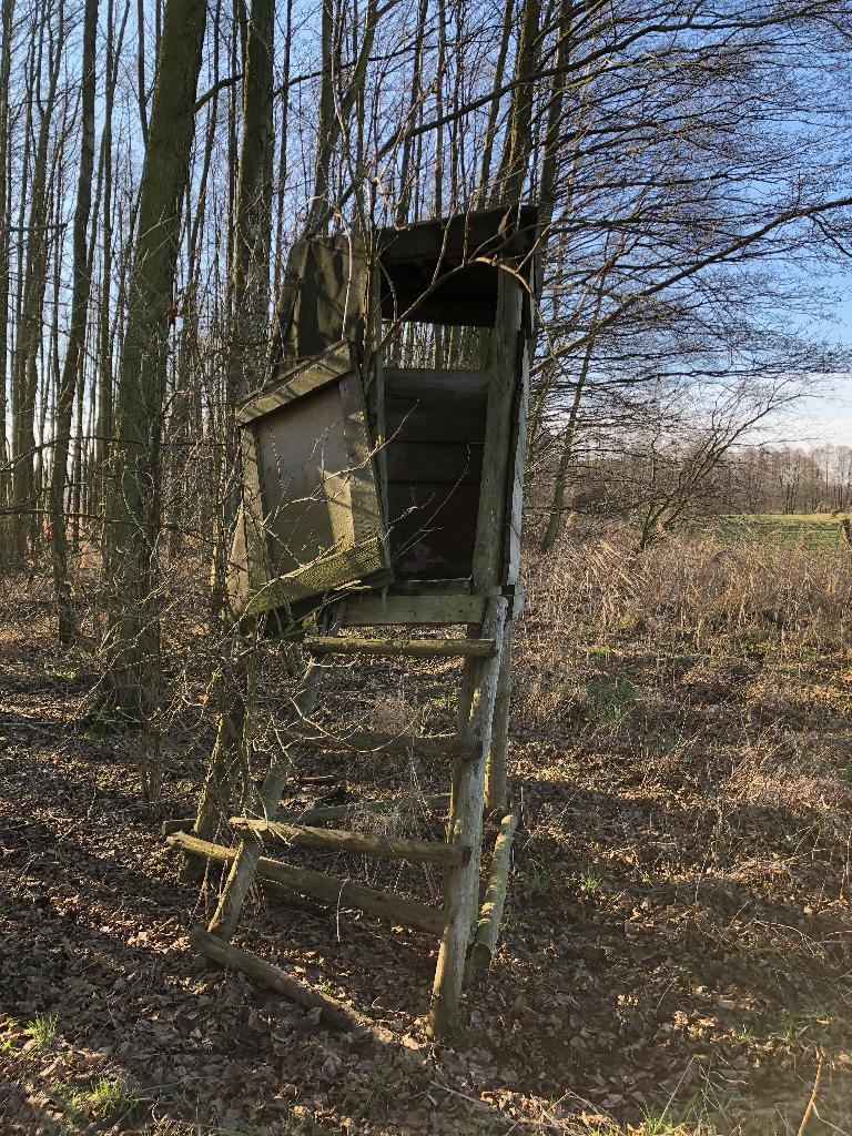 kleiner Hochstand (nah)