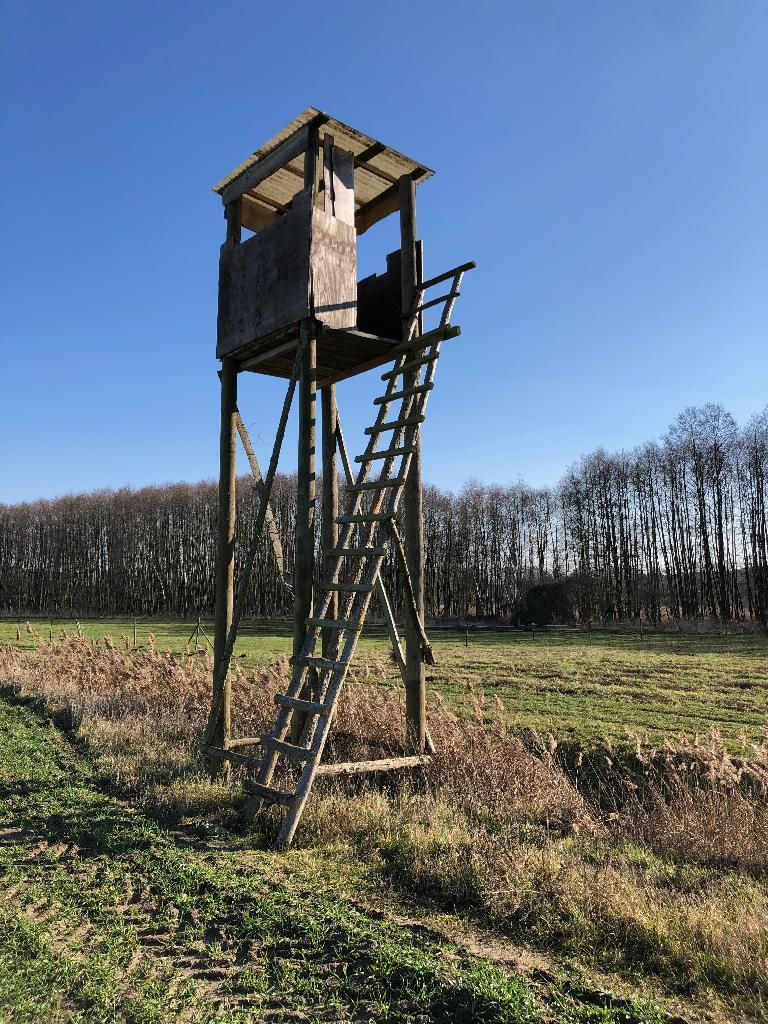 Hochstand mit seitlicher Leiter