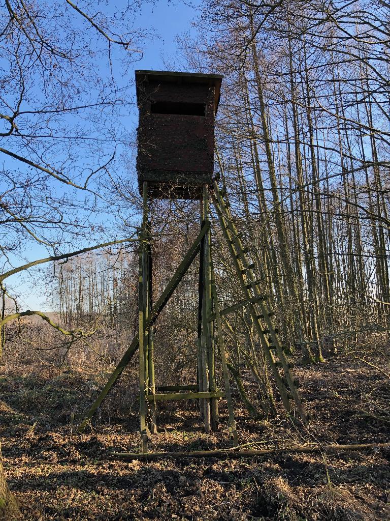 Hochstand, etwas schräg