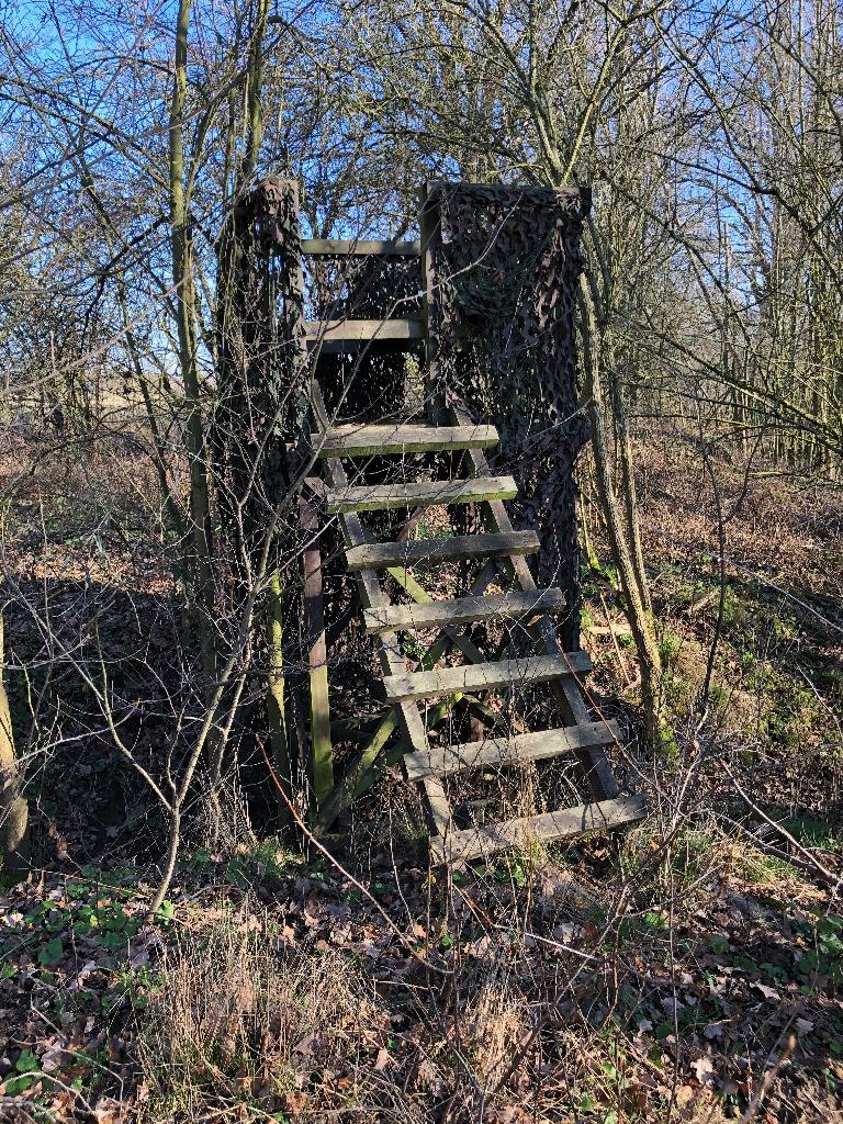 kleiner Hochstand, getarnt