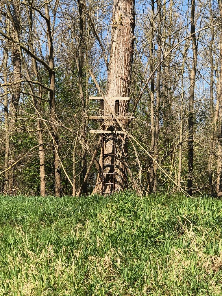 kleiner Hochstand am Baum