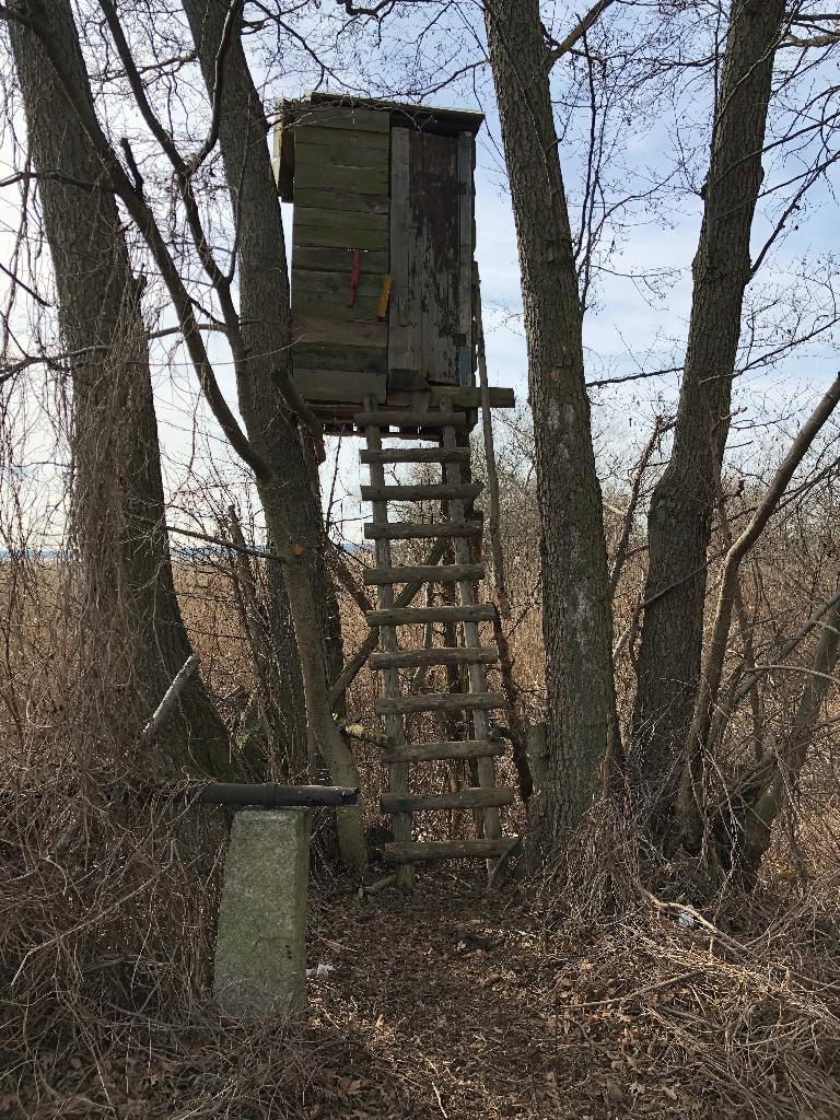 Hochstand am Baum mit Tür