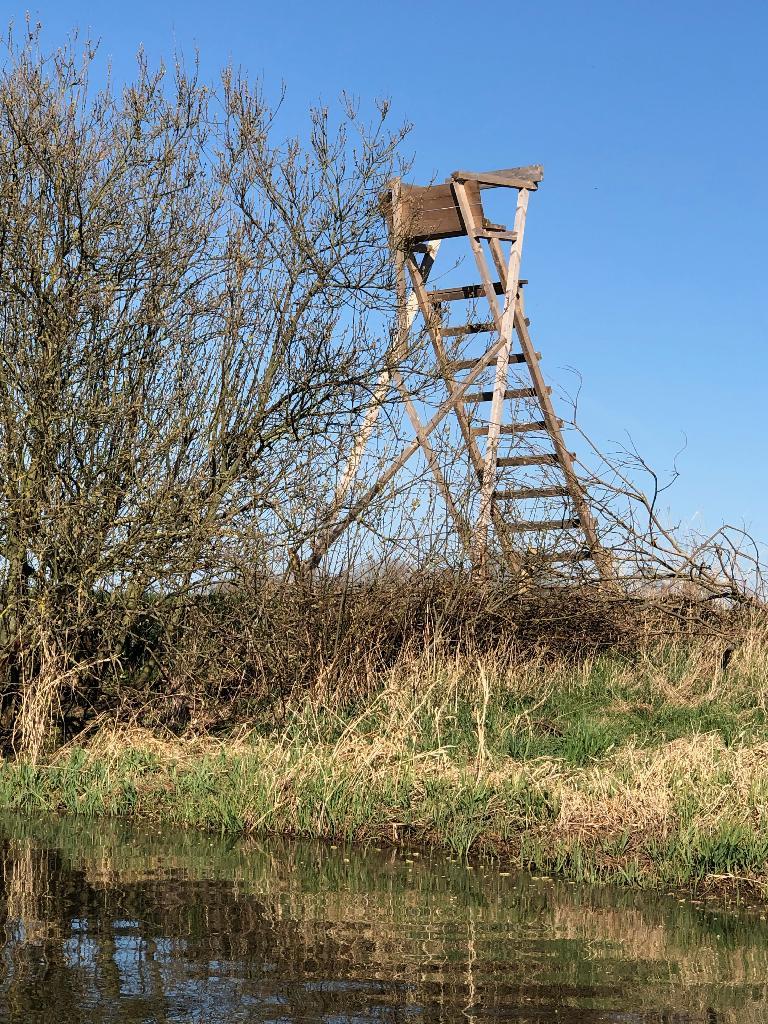 Hochsitz am Fluss