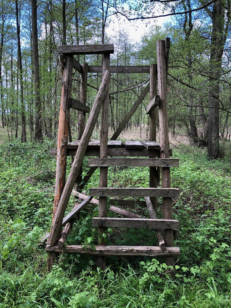 kleiner Hochsitz, offen (nah)