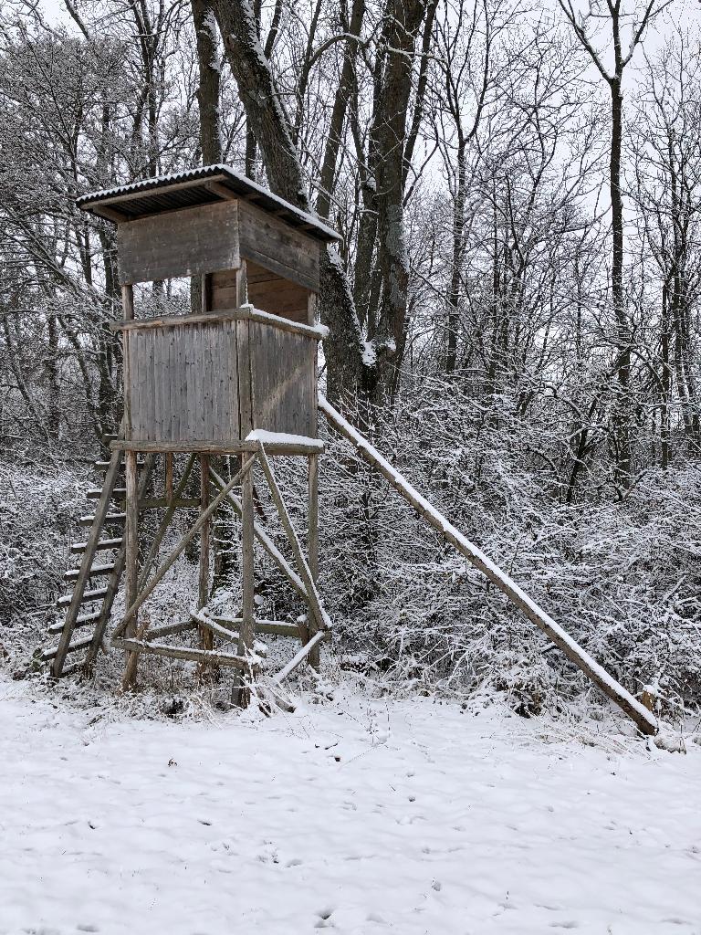 Hochstand im Schnee