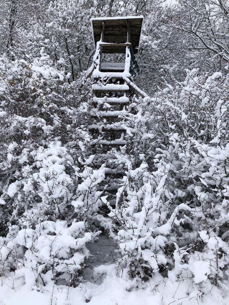 Hochstand im Schnee